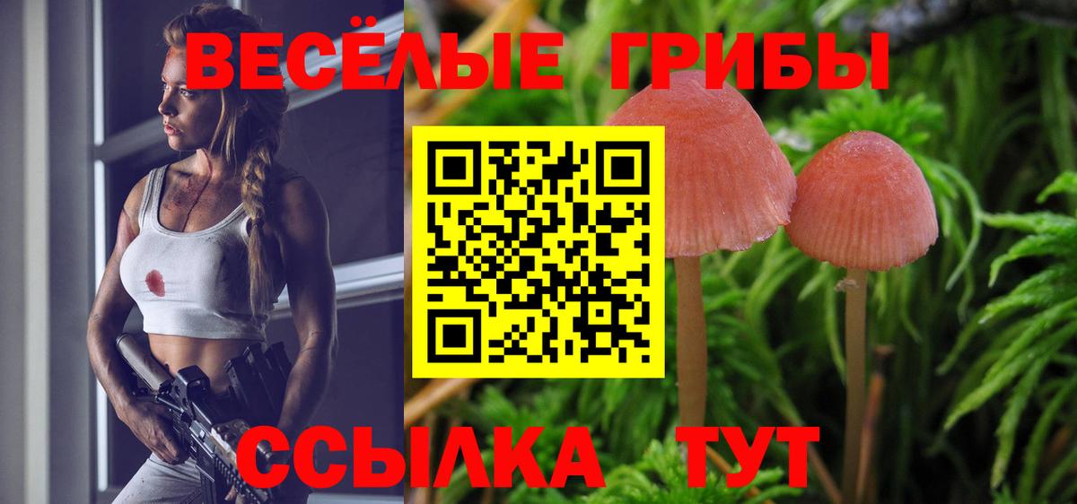 Туапсе  Псилоцибиновые грибы мухоморы  Вход с VPN  Псилоцибиновые грибы мицелий 